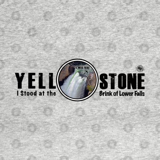 I Stood on the Brink of Lower Falls, Yellowstone National Park by Smyrna Buffalo
